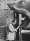写真 #26：英格玛·伯格曼 Ingmar Bergman
