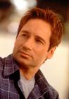 大卫·杜楚尼/David Duchovny