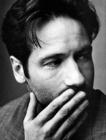 写真 #08：大卫·杜楚尼 David Duchovny