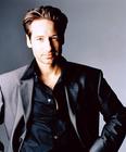 写真 #15：大卫·杜楚尼 David Duchovny