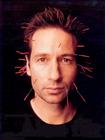 写真 #16：大卫·杜楚尼 David Duchovny