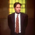 写真 #29：大卫·杜楚尼 David Duchovny