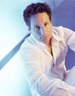 写真 #37：大卫·杜楚尼 David Duchovny