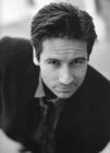 写真 #39：大卫·杜楚尼 David Duchovny