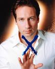 写真 #33：大卫·杜楚尼 David Duchovny