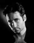 写真 #40：大卫·杜楚尼 David Duchovny