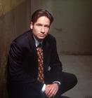 写真 #27：大卫·杜楚尼 David Duchovny