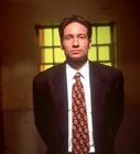 写真 #30：大卫·杜楚尼 David Duchovny