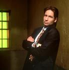 写真 #28：大卫·杜楚尼 David Duchovny
