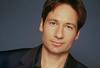写真 #43：大卫·杜楚尼 David Duchovny
