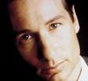 写真 #41：大卫·杜楚尼 David Duchovny