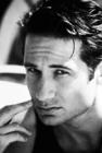 写真 #26：大卫·杜楚尼 David Duchovny
