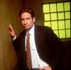 写真 #31：大卫·杜楚尼 David Duchovny