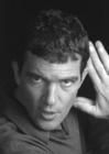写真 #25：安东尼奥·班德拉斯 Antonio Banderas