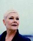 写真 #06：朱迪·丹奇 Judi Dench