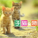小猫的故事 DVD封套 #01