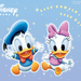 写真 #02：唐老鸭 Donald Duck