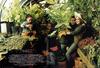 写真 #16：贝特·米德勒 Bette Midler