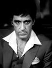 写真 #53：阿尔·帕西诺 Al Pacino