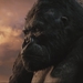 金刚/King Kong(2005)