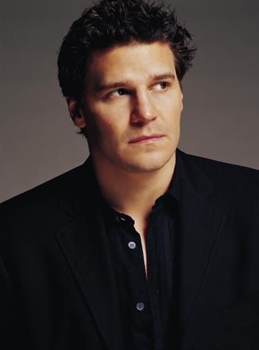 大卫·伯伦纳兹 David Boreanaz 写真 #11