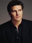 写真 #11：大卫·伯伦纳兹 David Boreanaz