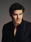 写真 #12：大卫·伯伦纳兹 David Boreanaz