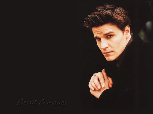 大卫·伯伦纳兹 David Boreanaz 写真 #16