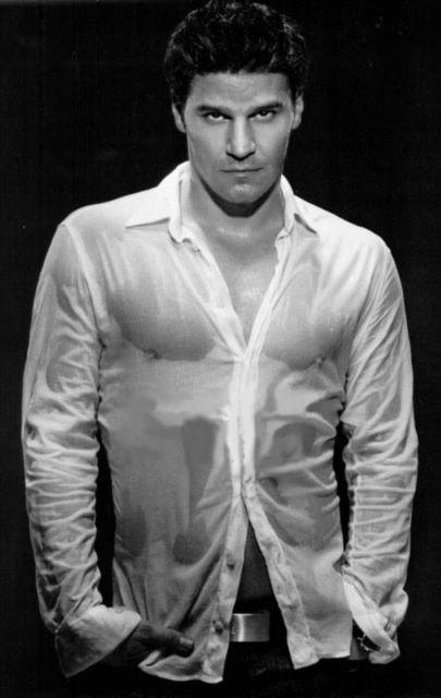 大卫·伯伦纳兹 David Boreanaz 写真 #14