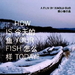 今天的鱼怎么样？How is Your Fish Today?(2006)