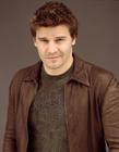 肖像 #06：大卫·伯伦纳兹 David Boreanaz