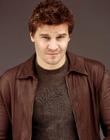 肖像 #11：大卫·伯伦纳兹 David Boreanaz