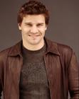 肖像 #10：大卫·伯伦纳兹 David Boreanaz