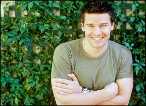 大卫·伯伦纳兹 David Boreanaz 写真 #17