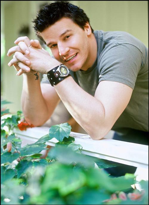 大卫·伯伦纳兹 David Boreanaz 写真 #23