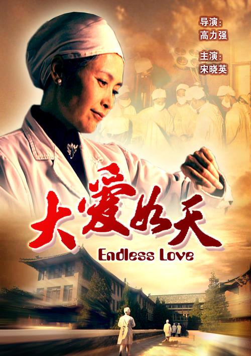 大爱如天Endless Love(2007)海报 #01