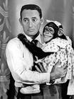 生活照 #02：乔伊·毕晓普 Joey Bishop