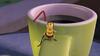 蜜蜂总动员/Bee Movie(2007) 电影图片 剧照 #12 省略图