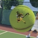 蜜蜂总动员Bee Movie(2007)