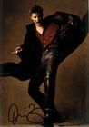 写真 #24：大卫·伯伦纳兹 David Boreanaz