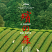 海报(西班牙) #01 省略图