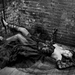 写真 #04 省略图