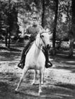 写真 #74：哈里森·福特 Harrison Ford
