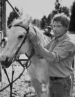 写真 #73：哈里森·福特 Harrison Ford