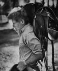 写真 #70：哈里森·福特 Harrison Ford