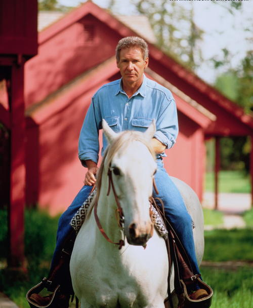 影视荧屏中经典怀旧的十大硬汉 人物 电影