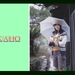 夏帆