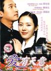 假如爱有天意 DVD封套(马来西亚) #01