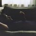写真 #40 省略图