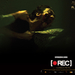 死亡录像[Rec](2007)